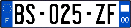 BS-025-ZF