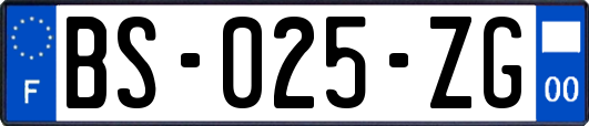 BS-025-ZG