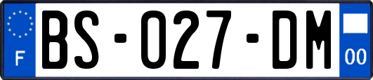 BS-027-DM