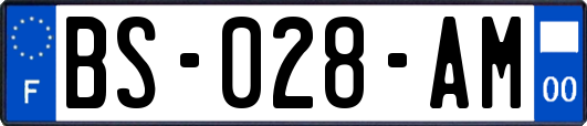 BS-028-AM