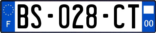 BS-028-CT