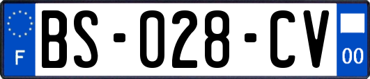 BS-028-CV
