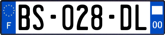 BS-028-DL