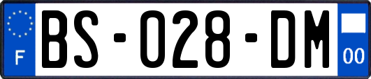 BS-028-DM