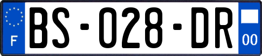 BS-028-DR
