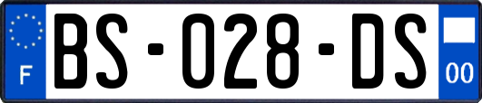 BS-028-DS