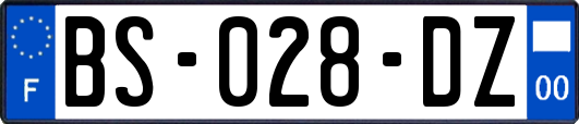 BS-028-DZ