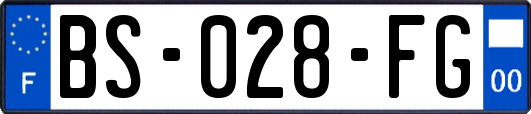 BS-028-FG
