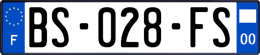 BS-028-FS