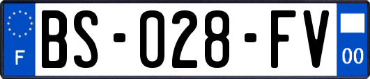 BS-028-FV