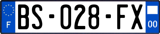 BS-028-FX