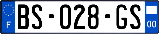 BS-028-GS