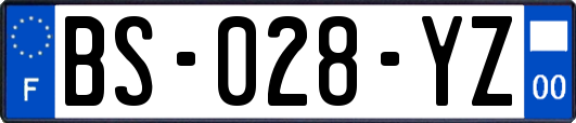 BS-028-YZ