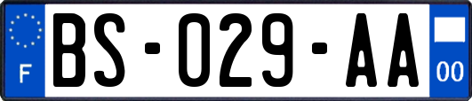 BS-029-AA