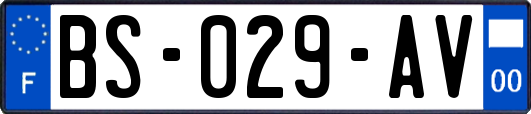 BS-029-AV