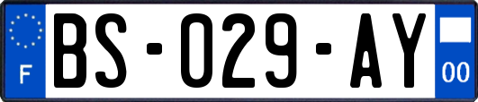 BS-029-AY