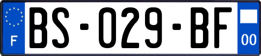 BS-029-BF