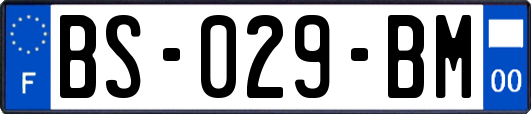 BS-029-BM