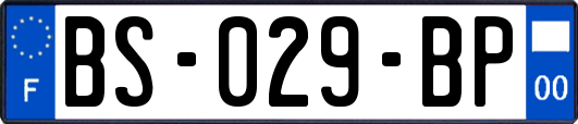 BS-029-BP