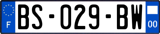 BS-029-BW