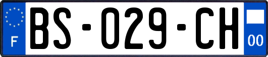 BS-029-CH