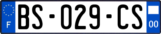 BS-029-CS