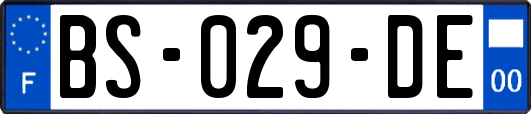 BS-029-DE