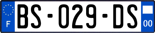 BS-029-DS