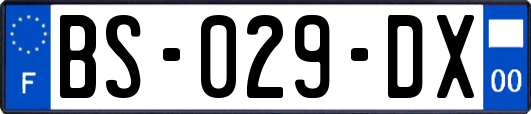 BS-029-DX