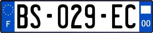 BS-029-EC