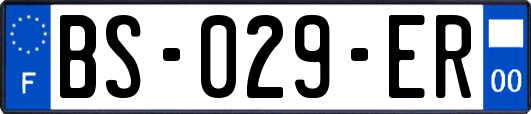 BS-029-ER