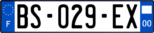 BS-029-EX