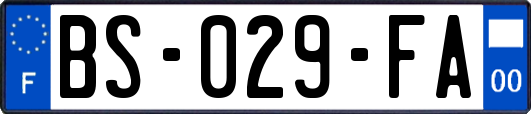 BS-029-FA