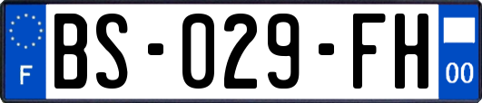 BS-029-FH