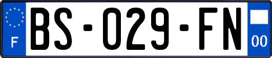 BS-029-FN