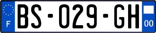 BS-029-GH