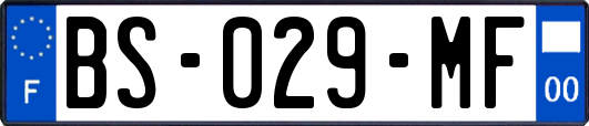 BS-029-MF