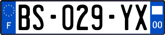 BS-029-YX