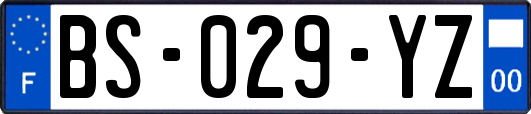 BS-029-YZ