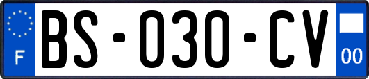 BS-030-CV