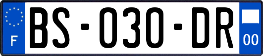 BS-030-DR