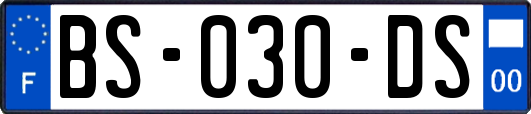 BS-030-DS