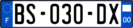 BS-030-DX