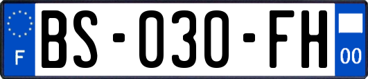 BS-030-FH