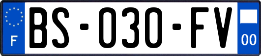 BS-030-FV