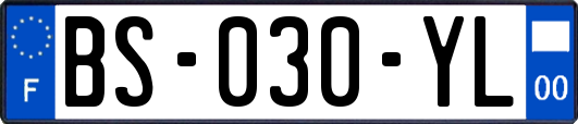 BS-030-YL