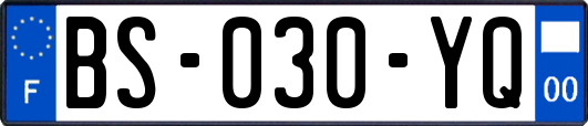 BS-030-YQ