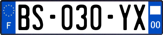BS-030-YX