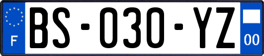BS-030-YZ