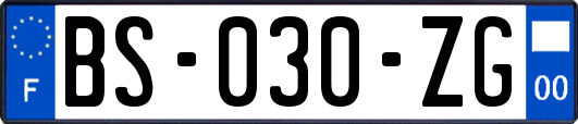 BS-030-ZG